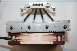 20120301_31