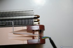 20120301_38